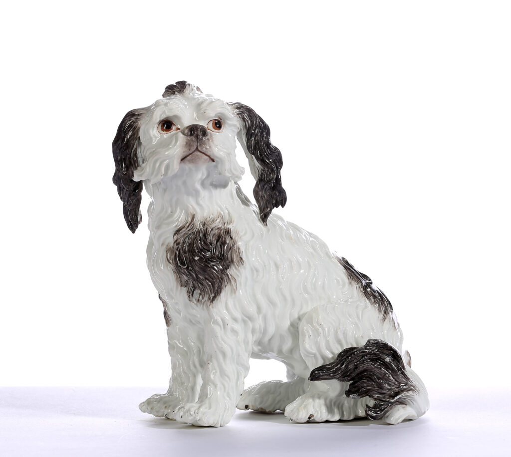 A MEISSEN MODEL OF A BOLOGNESE HOUND